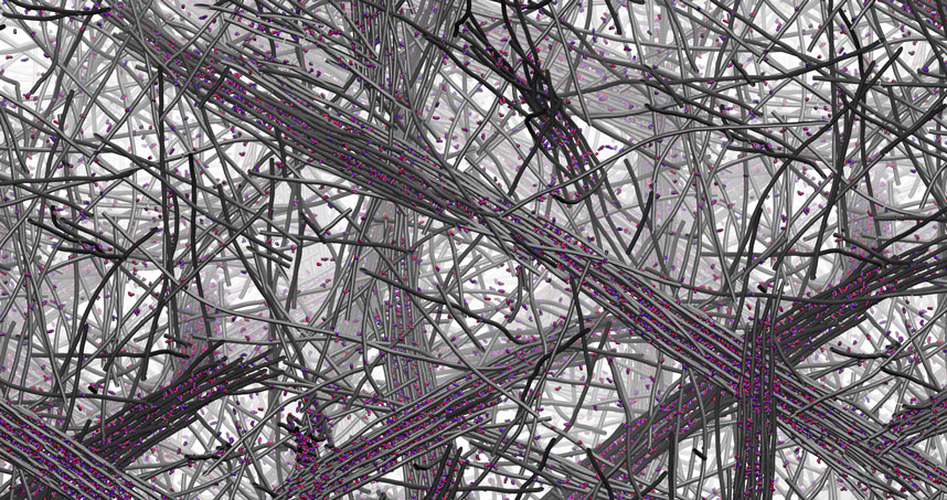 Simulation shows hierarchical assembly of DNA-decorated peptide amphiphile filaments. Credit Ming Han, Erik Luijten