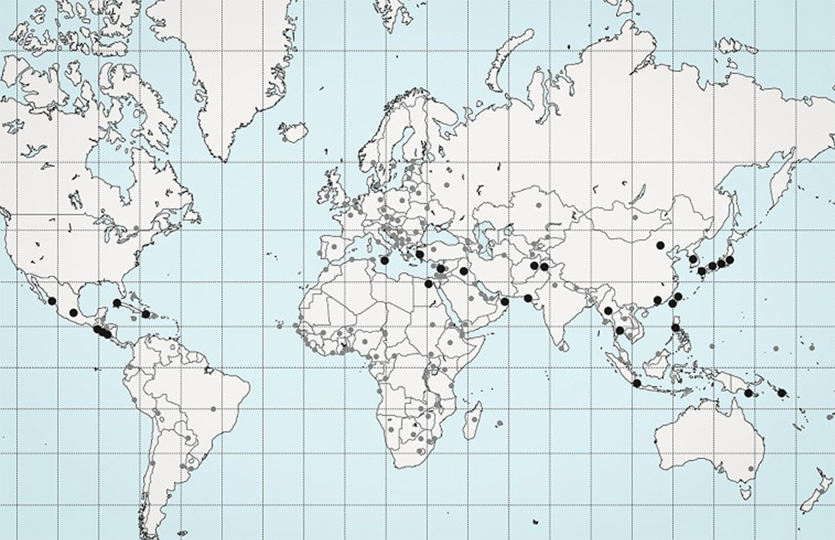 On this map, black dots represent the top 10 percent most at-risk US embassies, in locations such as Mexico, Cuba, Turkey, Iraq, Egypt, Pakistan, China, and Japan. Gray dots represent all other embassies.