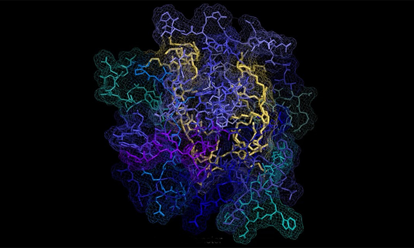 The new treatment leverages peptide-brush polymers, which act as a shield to prevent proteins from binding to one another. The polymer backbone is shown in yellow. Active peptides are blue and green.