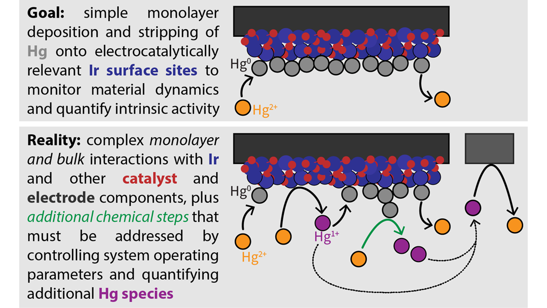 Depictions of the desired process for ideal deposition and stripping of a single layer of mercury on catalyst active sites.