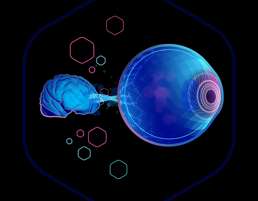 Northwestern engineers will develop a new generation of imaging technology to analyze whole eyes from potential organ donors. | Image by ARPA-H