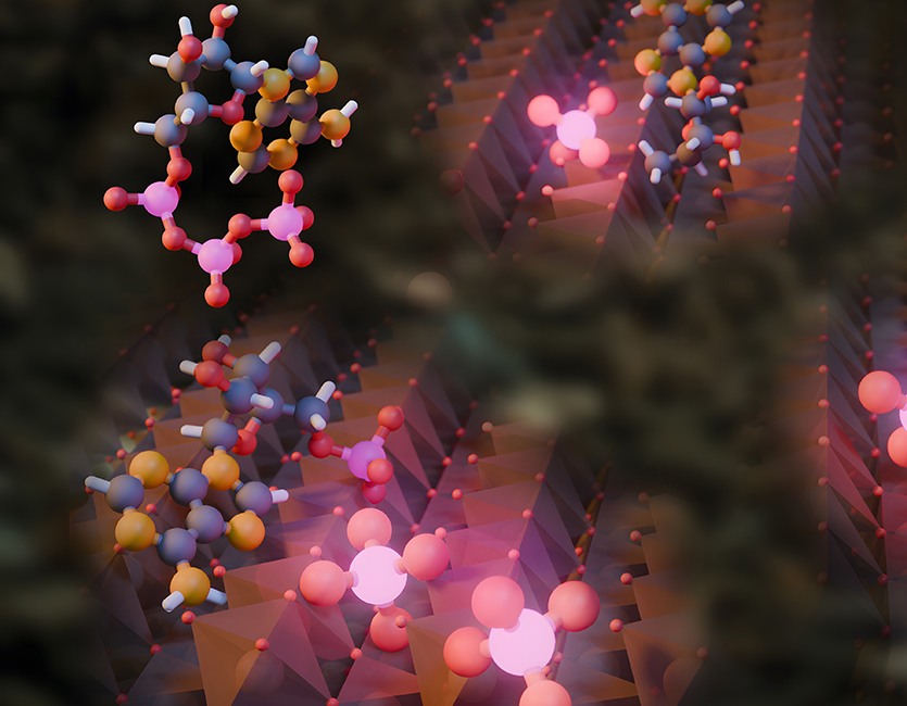 This illustration depicts the catalysis reaction of phosphate cleavage by iron oxides.