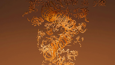 Order from Disordered Proteins