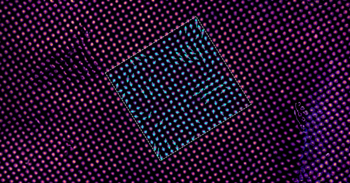 This illustration shows an atomic displacement map based on a reconstructed phase image.
