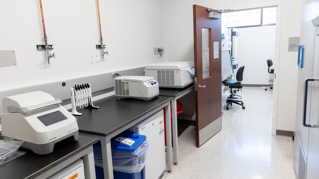 Inside a Querrey lab