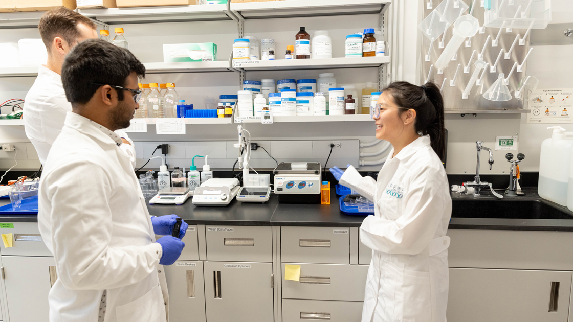 Researchers in the lab