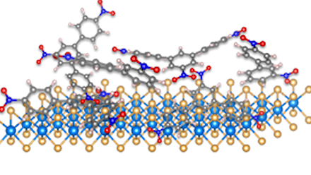 Illustration of a monolayer WSe2 following the chemical functionalization process used in this study