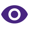Icon of eye