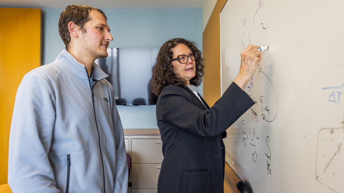 Monica Olvera de la Cruz and PhD student Curt Waltmann at a whiteboard