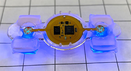 hybrid eBiobots