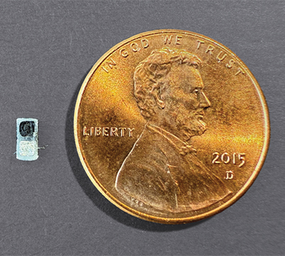 The new dissolvable pacemaker next to a penny for scale. | Photo by John A. Rogers/Northwestern University 